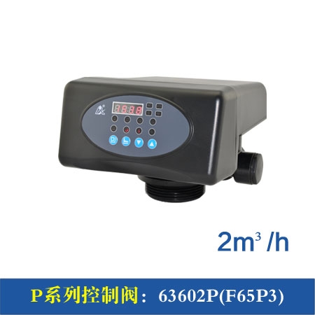 F65P1/3 2m³/h 简易